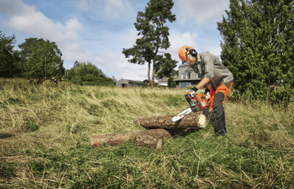 MOTOSIERRA HUSQVARNA 450 II - Imagen 2